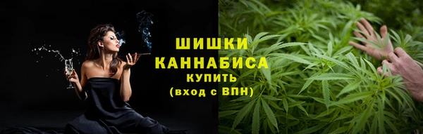 дживик Карпинск