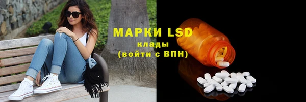 дживик Карпинск