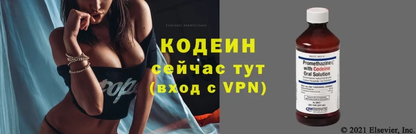 дживик Карпинск