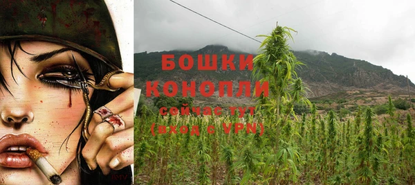 дживик Карпинск