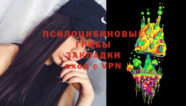дживик Карпинск