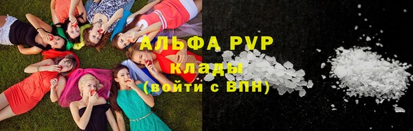 дживик Карпинск