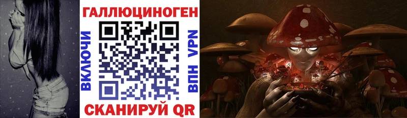 Купить закладки  Верхняя Пышма  Псилоцибиновые грибы MAGIC MUSHROOMS 